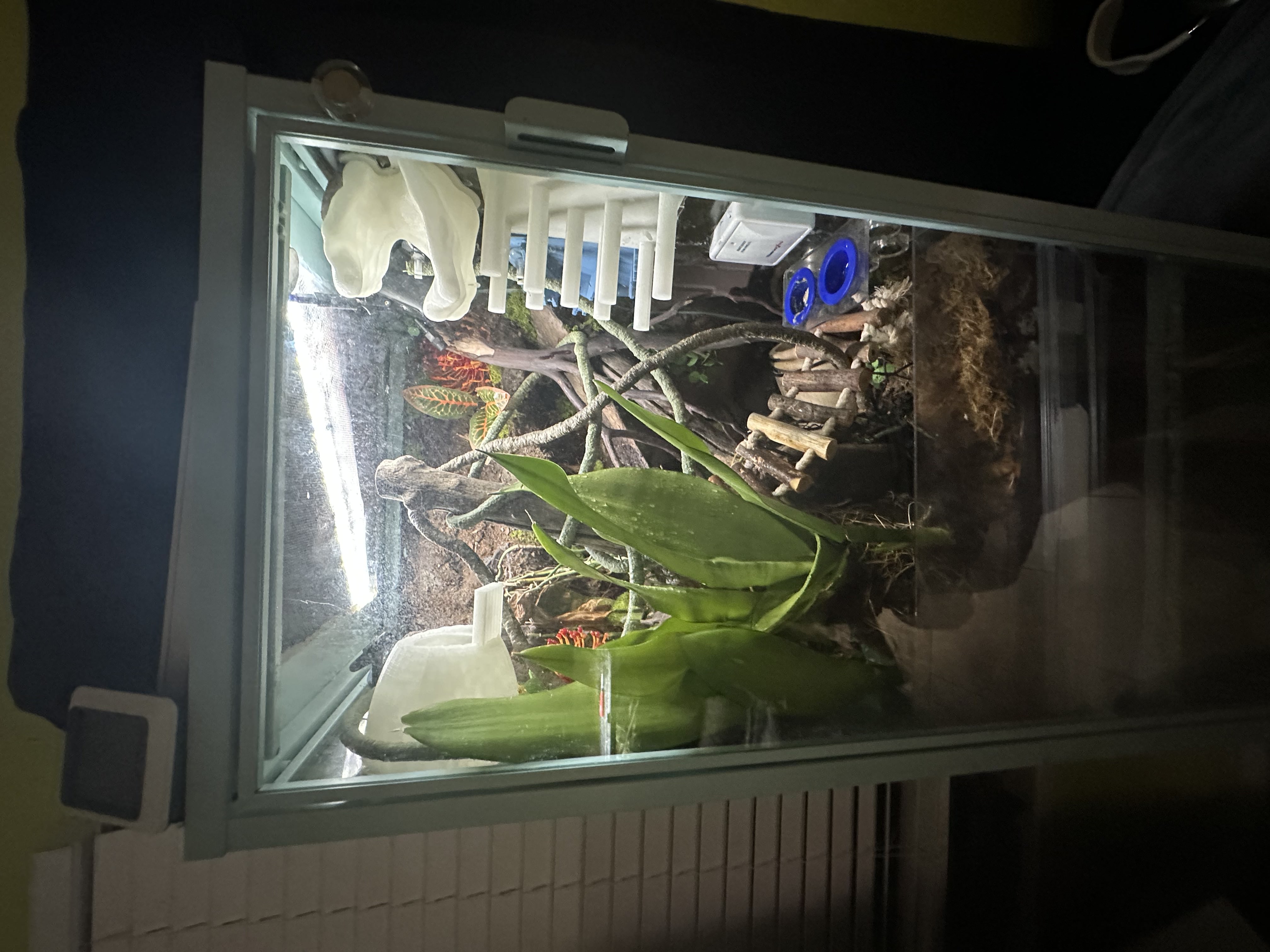 my crested gecko terrarium I built myself from an Ikea metal cabinet